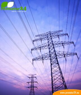 Seminar on LF and HF electrosmog from current and radio