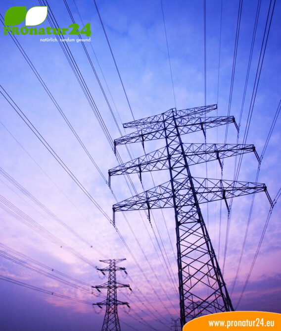 Seminar on LF and HF electrosmog from current and radio