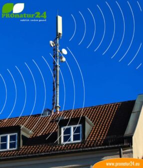 Seminar on LF and HF electrosmog from current and radio