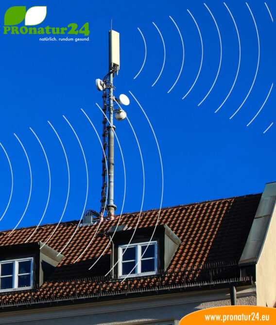 Seminar on LF and HF electrosmog from current and radio