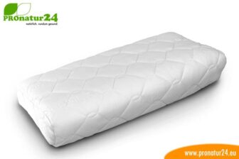 PHYSIOLOGA therapy neck pillow