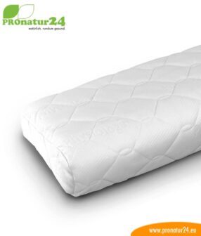 PHYSIOLOGA therapy neck pillow