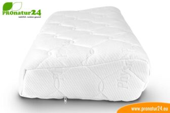 PHYSIOLOGA therapy neck pillow