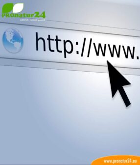 Seminar Homepage & SEO with Geovital