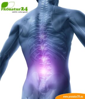 Seminar on orthopedics