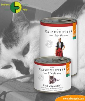 defu BIO cat food: wet food