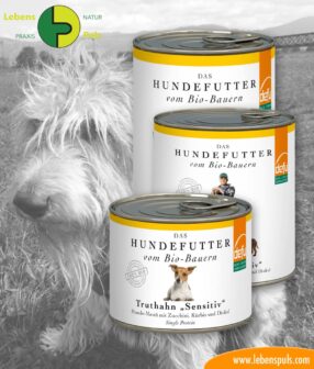 defu BIO dog fooddefu BIO dog food: wet food-turkey: wet food