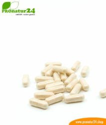 lactoferrin capsules 250mg pronatur24 884