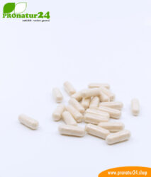 lactoferrin 120mg capsules pronatur24 884