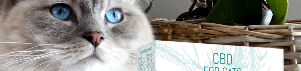 CBD TREATS for CATS and KITTENS. Feed supplement in the form of tablets for the cat. 130 mg of CBD in 100 lozenges. Without THC. 14 CBD treats for cats. Feed supplement in the form of tablets / pastilles for cats and kittens.