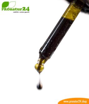 CBD HEMP OIL cannabis plant with 5% CBD content. Without THC. Organic and vegan produced by Nordic Oil.