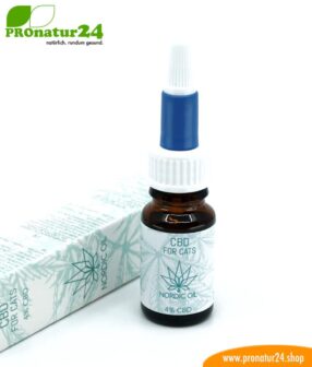 BD hemp oil for CATS and KITTEN. Positive effect for cats with 4% CBD content. Without THC. Biologically produced by Nordic Oil.