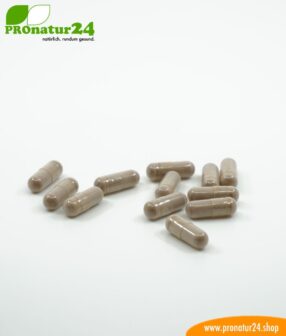 OPC grape seed extract high-dose with 250 mg OPC, 90 vegetarian capsules