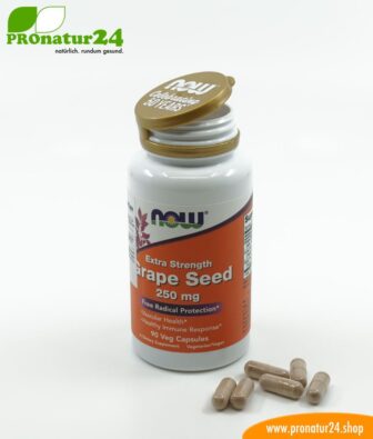OPC grape seed extract high-dose with 250 mg OPC, 90 vegetarian capsules