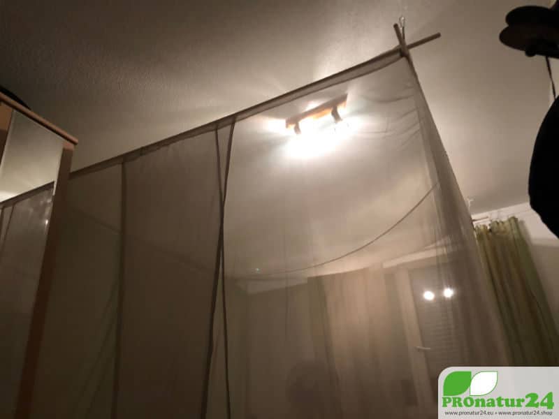 Canopy Electrosmog PRO in Feldkirch, Austria