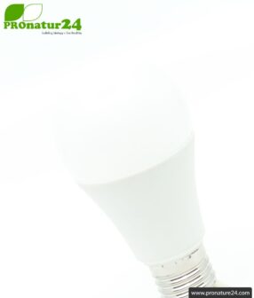 LED bulb full spectrum DuoLight. Natural flicker-free light with 12 Watt (like 100 Watt). 5200 K + 4000 K + 2900 K. 1000 lumen. E27.