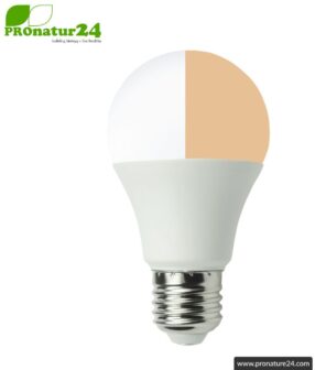 LED bulb full spectrum DuoLight. Natural flicker-free light with 12 Watt (like 100 Watt). 5200 K + 4000 K + 2900 K. 1000 lumen. E27.