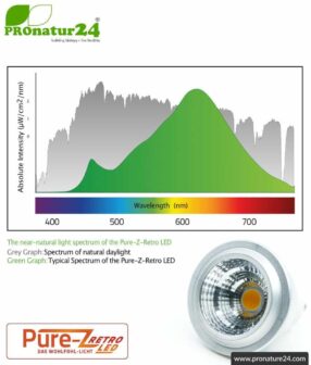 LED SPOT bulb Pure-Z-Retro BIO LIGHT, clear, GU10, 5 watt, 380 lumen, warm white (2700 K). Equivalent to 40 Watt light output.