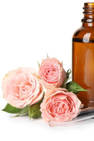 Most precious rose oil in hair & body shampoo rose.