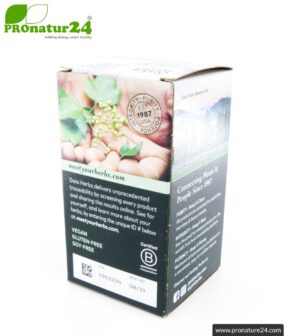 MENTAL CLARITY by Gaia Herbs | can support brain performance and concentration | mushrooms & Herbs (reishi, cordyceps, basil, rosemary, ...) | 60 capsules