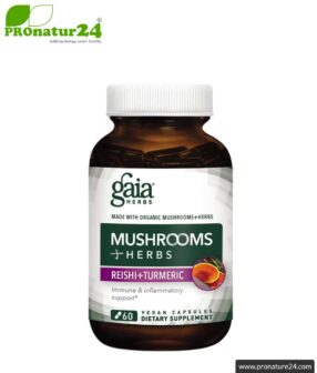 WHOLE BODY SUPPORT by Gaia Herbs | reishi, shiitake, turmeric and ginger for your daily energy boost | mushrooms & herbs | 60 capsules