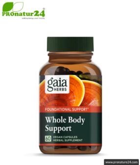 WHOLE BODY SUPPORT by Gaia Herbs | reishi, shiitake, turmeric and ginger for your daily energy boost | mushrooms & herbs | 60 capsules