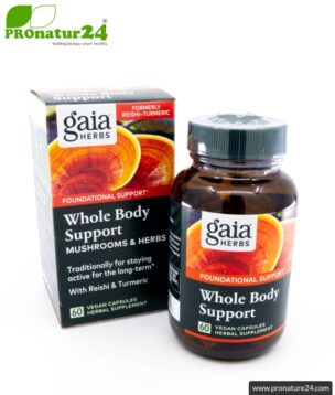 WHOLE BODY SUPPORT by Gaia Herbs | reishi, shiitake, turmeric and ginger for your daily energy boost | mushrooms & herbs | 60 capsules