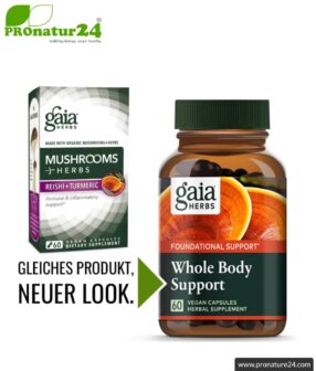 WHOLE BODY SUPPORT by Gaia Herbs | reishi, shiitake, turmeric and ginger for your daily energy boost | mushrooms & herbs | 60 capsules