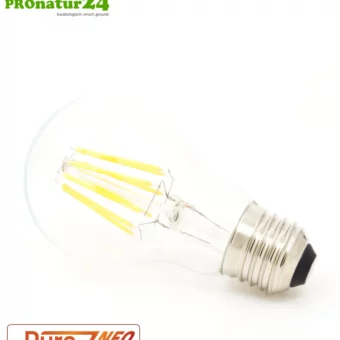 6.4 watts LED filament Pure-Z NEO from BioLicht | CRI 97 | bright as 55 watts, 650 lumen | warm white (2700 K) | flicker-free (< 1%), E27 socket