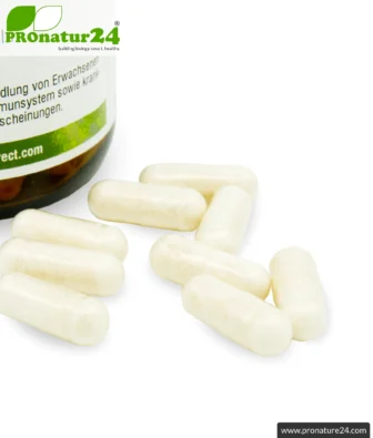 Lactoferrin HFQ | 120mg lactoferrin per capsule | premium quality dietary food