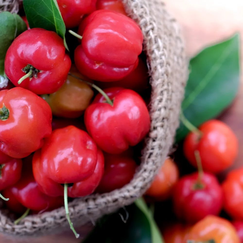 Acerola cherry as a vitamin C source