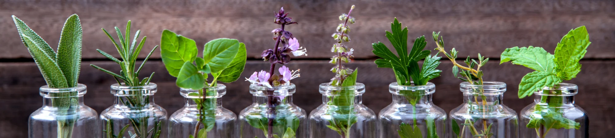 Herbal Blend as a Dietary Supplement
