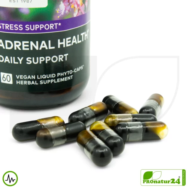 ADRENAL HEALTH by Gaia Herbs | Concentration and Focus in Daily Life | Suitable as a Supplement for Intense Training + Altitude Training | 60 Capsules