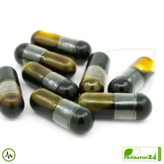 ADRENAL HEALTH - DAILY SUPPORT by gaia HERBS | Concentration and Focus in Daily Life | Suitable as a Supplement for Intense Training + Altitude Training | 60 Capsules 13 ADRENAL HEALTH by Gaia Herbs | Concentration and Focus in Daily Life | Suitable as a Supplement for Intense Training + Altitude Training | 60 Capsules