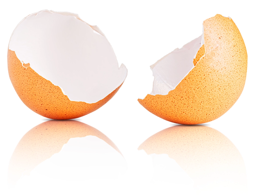 Egg shell membrane