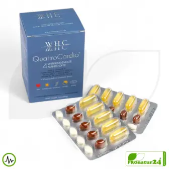 WHC QuattroCardio® (OMEGA-3 fatty acids, vitamin D3, K2 and Q10 ubiquinol) | 90 capsules 9 WHC QuattroCardio® (OMEGA-3 fatty acids, vitamin D3, K2 and Q10 ubiquinol)