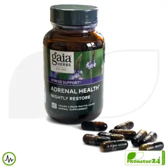 ADRENAL HEALTH - NIGHTLY RESTORE by gaia HERBS | Focus on the Night | Dietary Supplement Before Bedtime | 60 Capsules 12 ADRENAL HEALTH - NIGHTLY RESTORE by Gaia Herbs | Focus on the Night | Dietary Supplement Before Bedtime | 60 Capsules