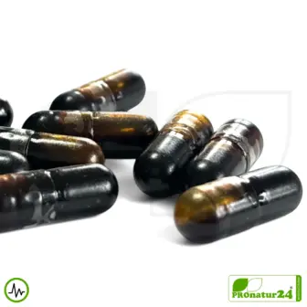 ADRENAL HEALTH - NIGHTLY RESTORE by gaia HERBS | Focus on the Night | Dietary Supplement Before Bedtime | 60 Capsules 13 ADRENAL HEALTH - NIGHTLY RESTORE by Gaia Herbs | Focus on the Night | Dietary Supplement Before Bedtime | 60 Capsules