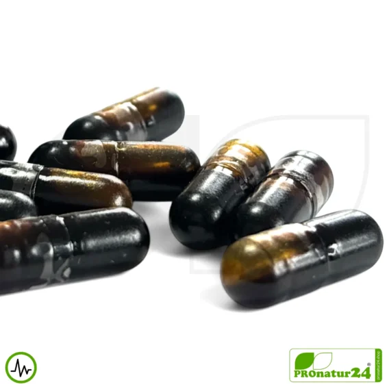 ADRENAL HEALTH - NIGHTLY RESTORE by Gaia Herbs | Focus on the Night | Dietary Supplement Before Bedtime | 60 Capsules