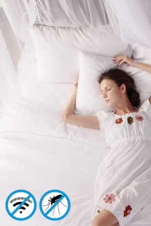 No moskitos inside our canopy