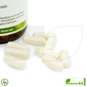 Lactoferrin HFQ capsules | 120 mg lactoferrin per capsule | premium quality dietary food