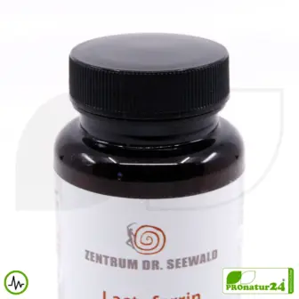 Lactoferrin 300 mg, highly pure | high-dose | Apo-Lactoferrin = low iron | Premium Quality from Zentrum Dr. Seewald 12 Lactoferrin 300 mg Highly Pure & Freeze-Dried | Apo-Lactoferrin = low iron | Premium Quality from Zentrum Dr. Seewald
