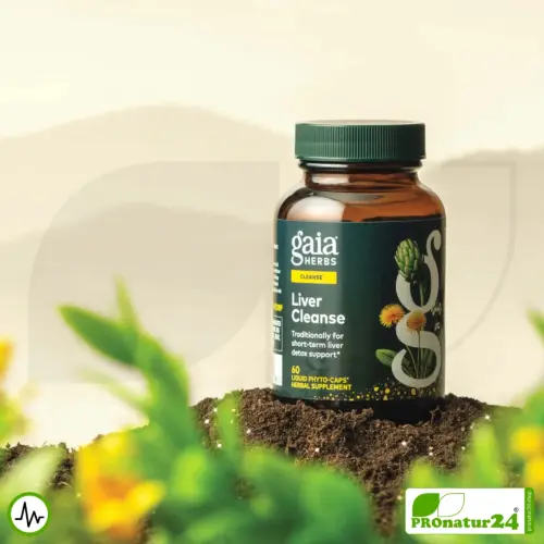 LIVER CLEANSE by Gaia HERBS | Nutritional supplement for the liver with valuable plant extracts (incl. Milk Thistle, Turmeric, ...) | 60 capsules
