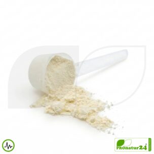 Whey Protein Isolate Natural – lactose-free | VitalShake HFQ 5 Premium Whey Protein | natural | Vitalshake by HFQ