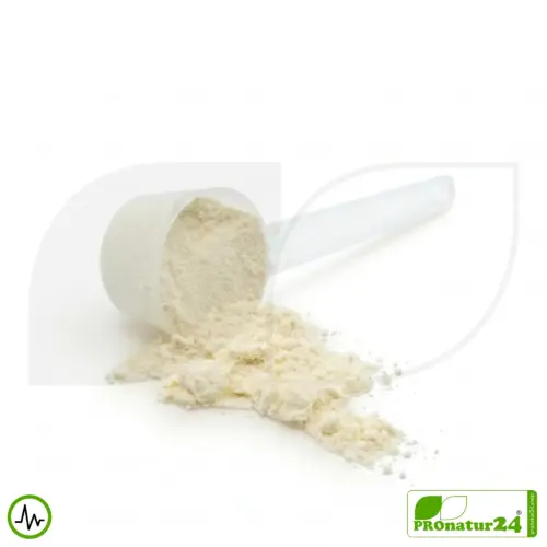 Premium Whey Protein | natural | Vitalshake by HFQ