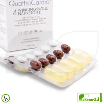 WHC QuattroCardio® (OMEGA-3 fatty acids, vitamin D3, K2 and Q10 ubiquinol) | 90 capsules 8 WHC QuattroCardio® (OMEGA-3 fatty acids, vitamin D3, K2 and Q10 ubiquinol) | 90 capsules